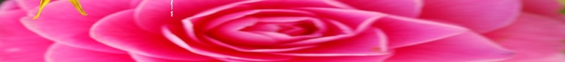 Barosyl