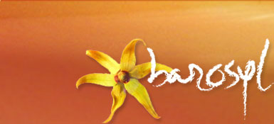 Barosyl